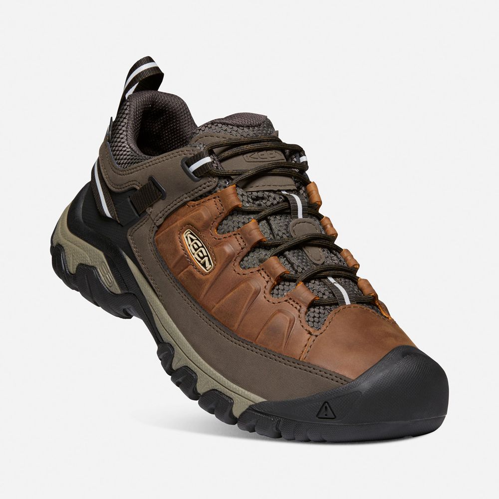 Chaussure de Randonnée Keen Homme Marron | Targhee Iii Waterproof | ZJRDL-7039